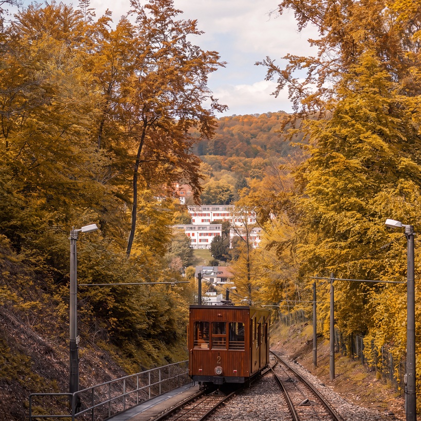 Die Seilbahn umrahmt von herbstlich gefärbtem Laub.